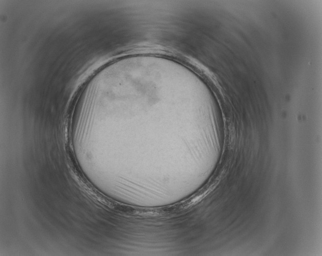 X0000083611415200703121551