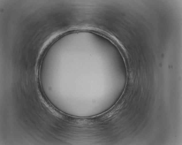 X0000083611416200703121551