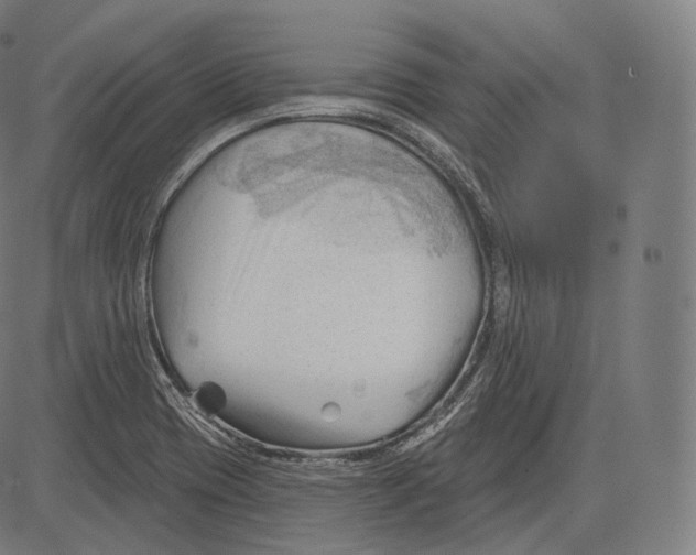 X0000083611417200703121551