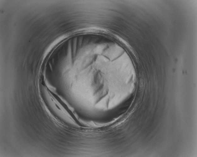 X0000083611418200703121551