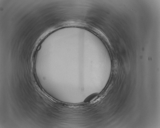 X0000083611419200703121551