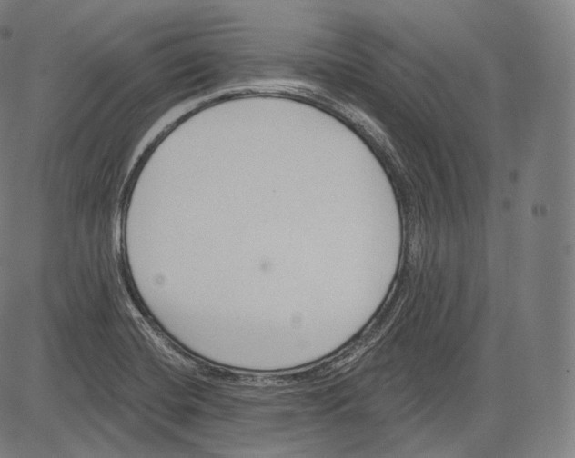 X0000083611420200703121551