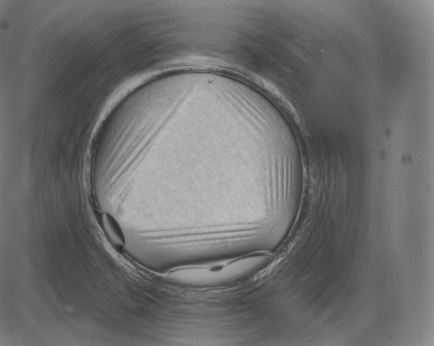 X0000083611421200703121551