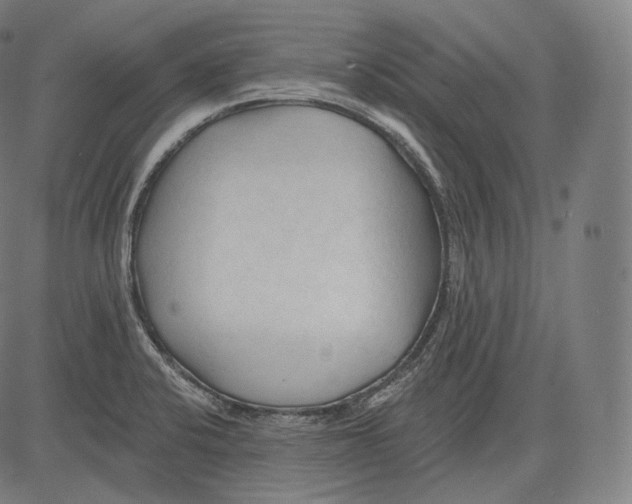 X0000083611424200703121551