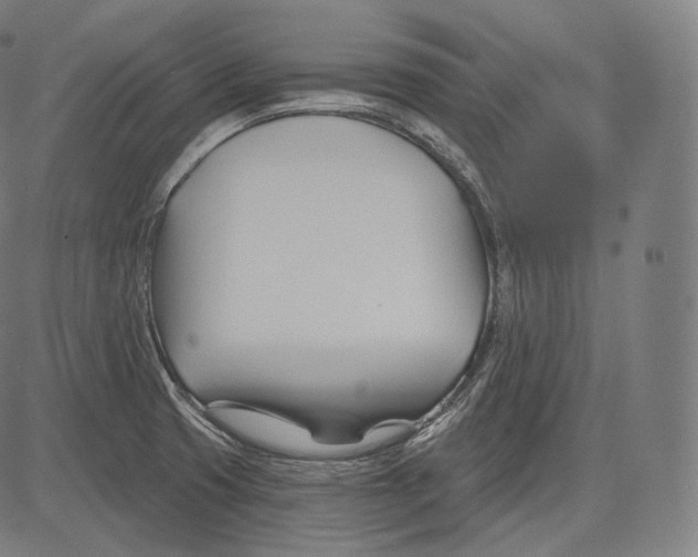 X0000083611425200703121551