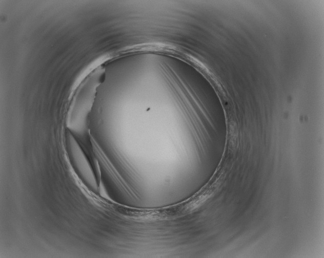 X0000083611426200703121551