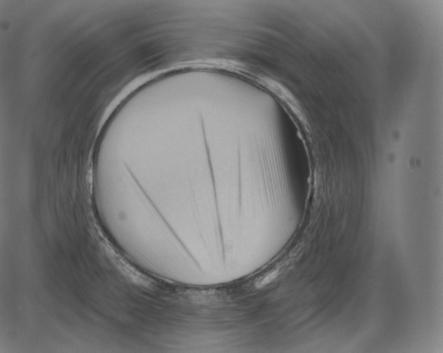 X0000083611428200703121551