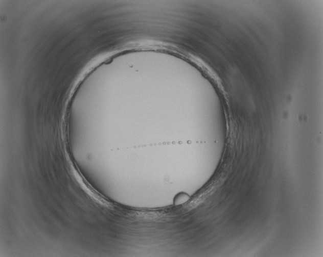 X0000083611429200703121551