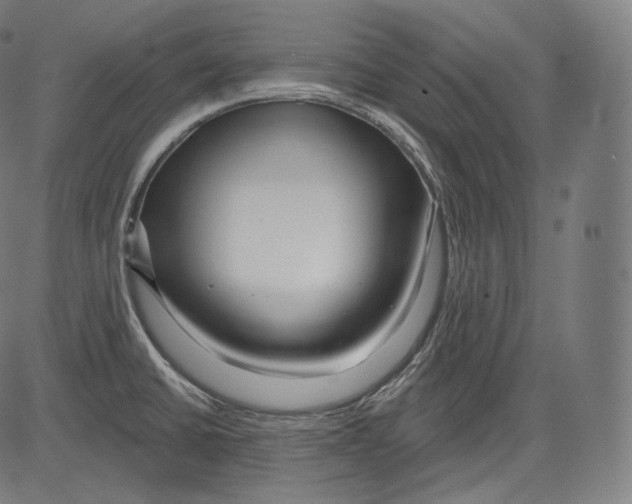 X0000083611430200703121551