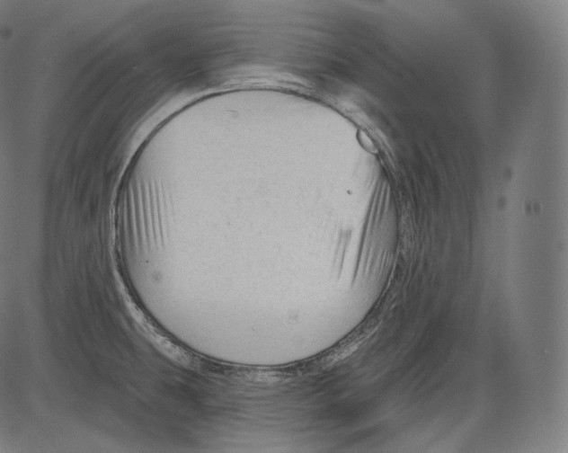 X0000083611431200703121551