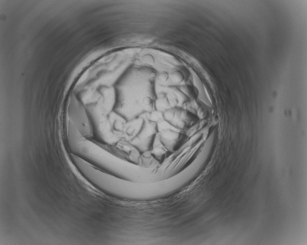 X0000083611432200703121551