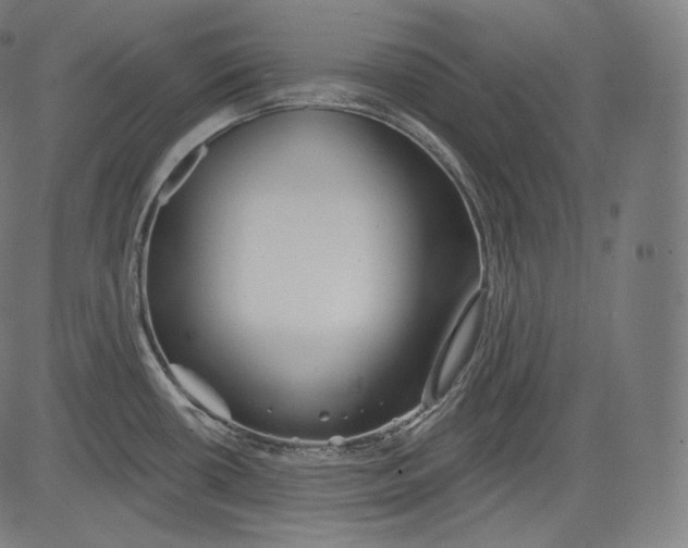 X0000083611434200703121551