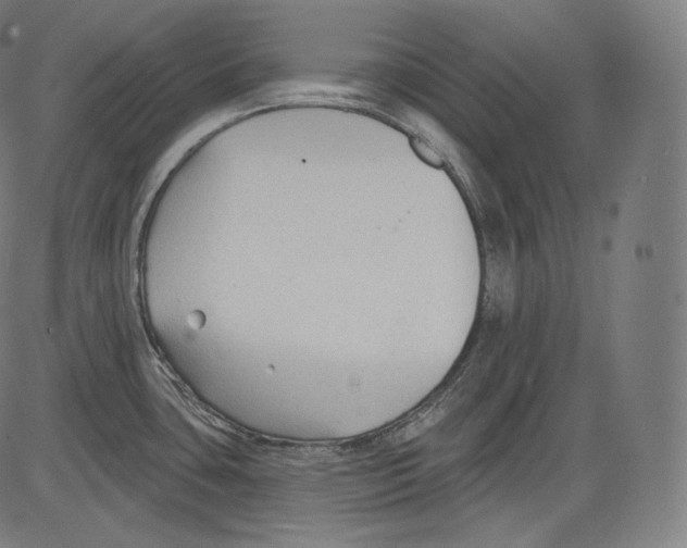 X0000083611435200703121551