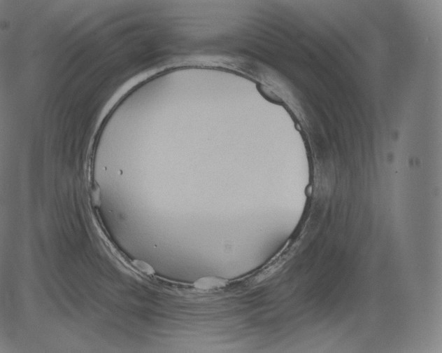 X0000083611436200703121551