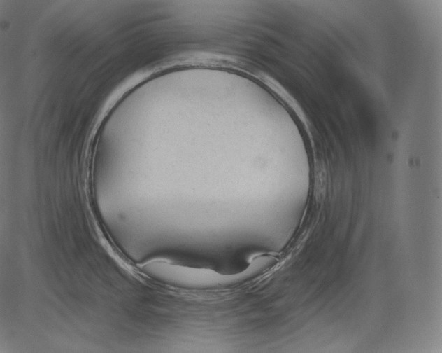 X0000083611437200703121551