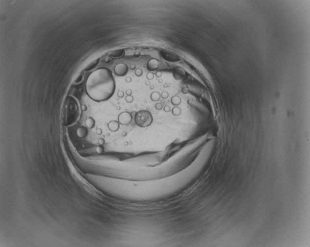 X0000083611439200703121551