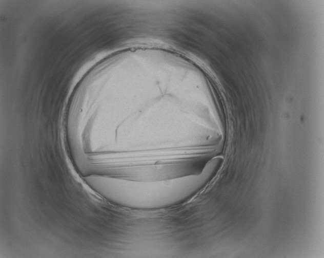 X0000083611440200703121551