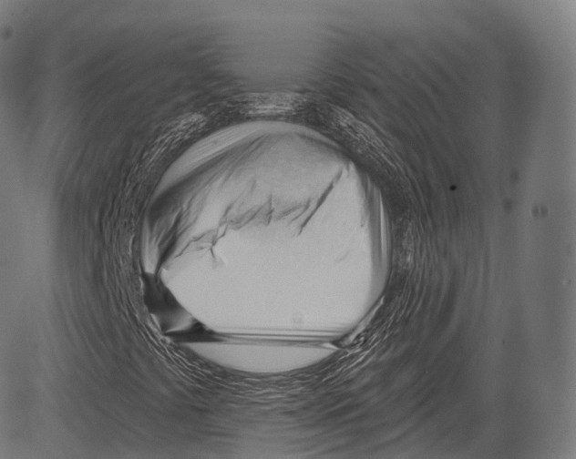 X0000083611441200703121550