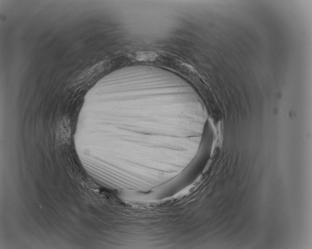 X0000083611443200703121550