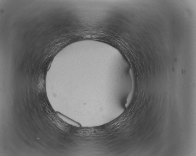 X0000083611444200703121550