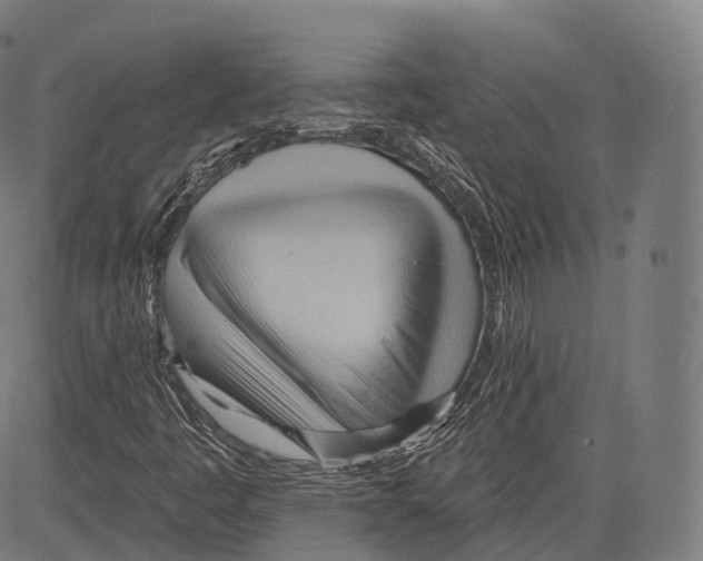 X0000083611445200703121550