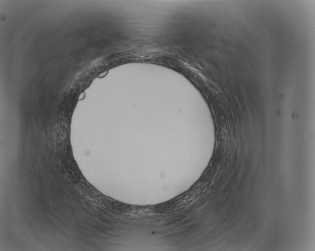 X0000083611447200703121550