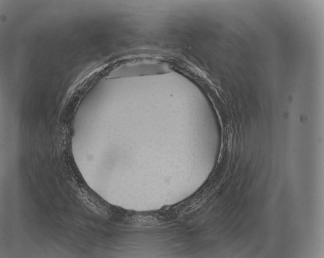 X0000083611448200703121550