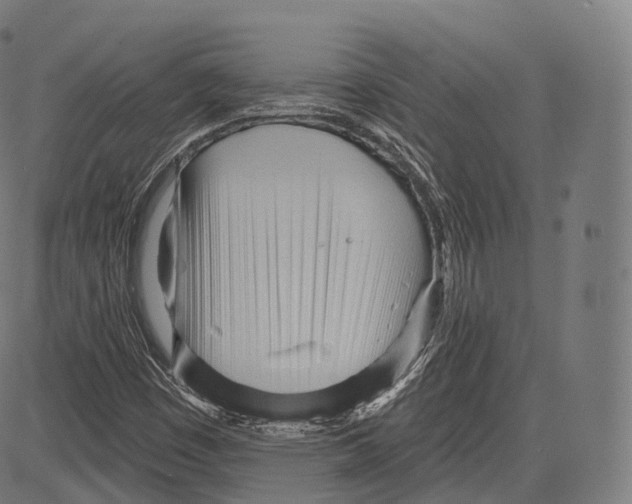 X0000083611449200703121550