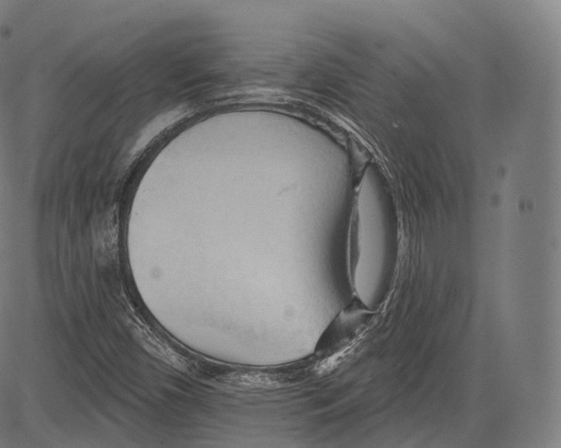 X0000083611450200703121550