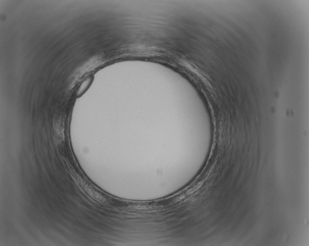 X0000083611451200703121550