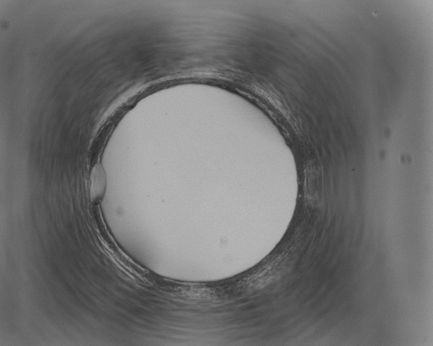 X0000083611452200703121550