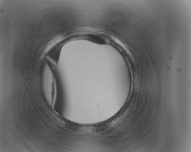 X0000083611453200703121550