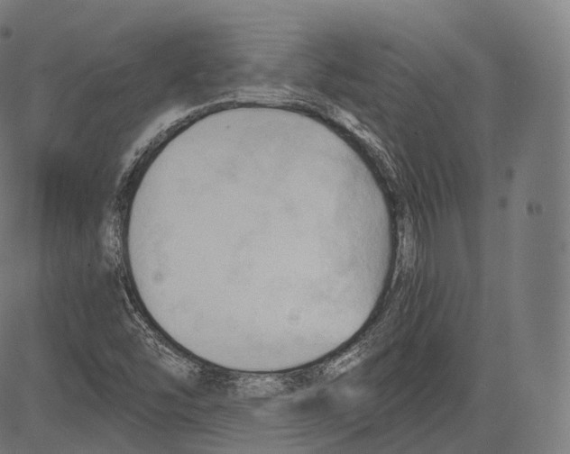 X0000083611454200703121550