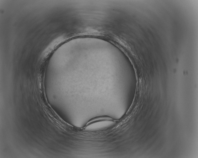 X0000083611455200703121550