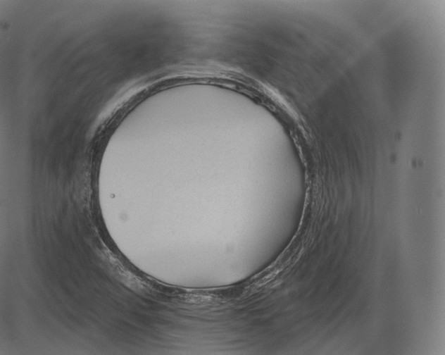 X0000083611456200703121550