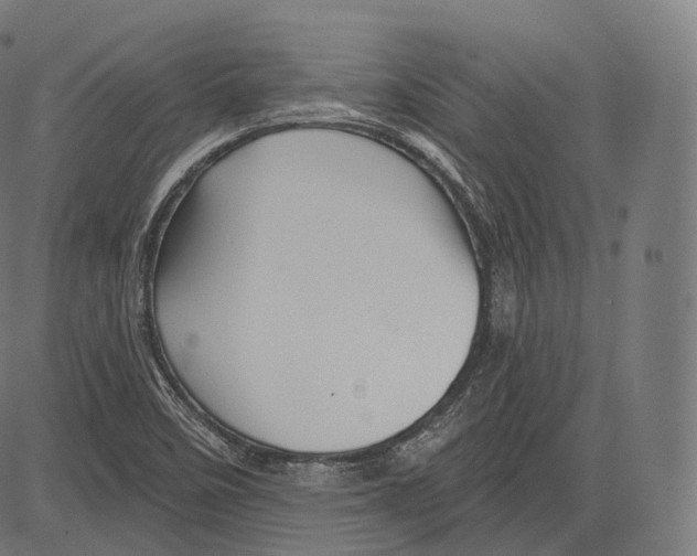 X0000083611458200703121550