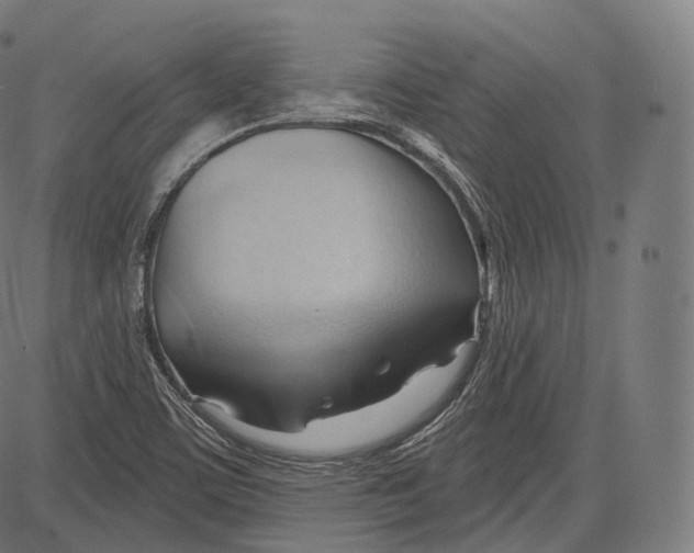 X0000083611459200703121550