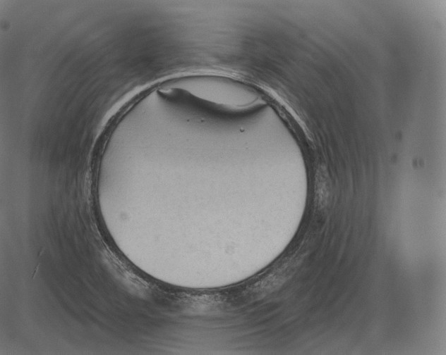 X0000083611460200703121550