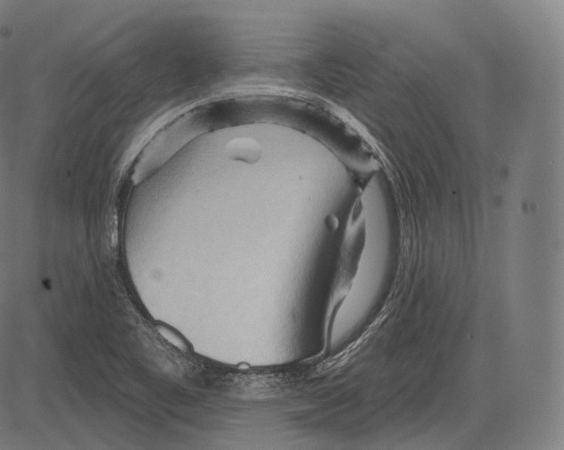 X0000083611461200703121550