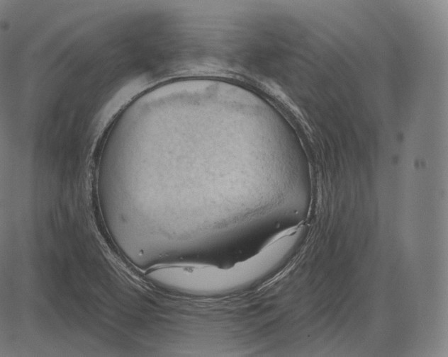 X0000083611463200703121550