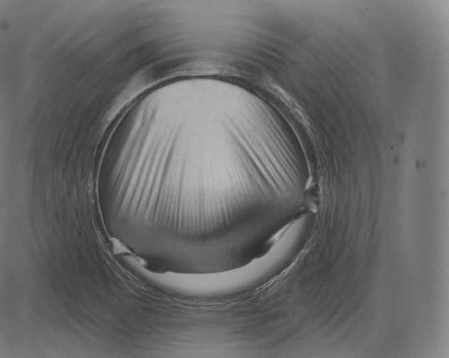 X0000083611465200703121550