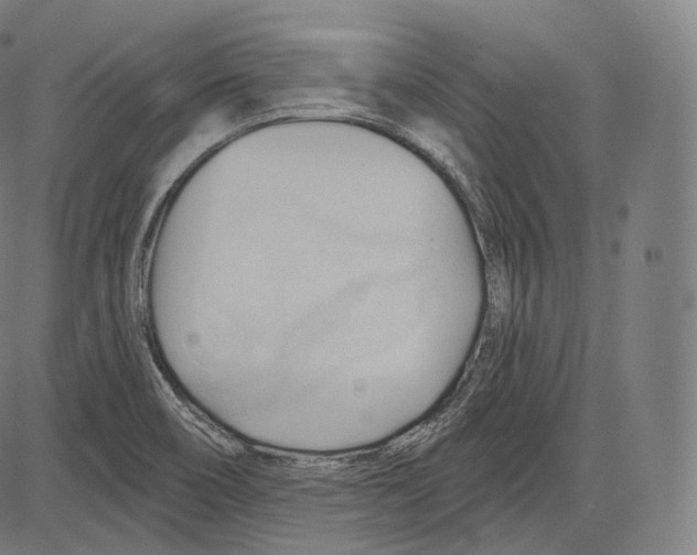 X0000083611466200703121550