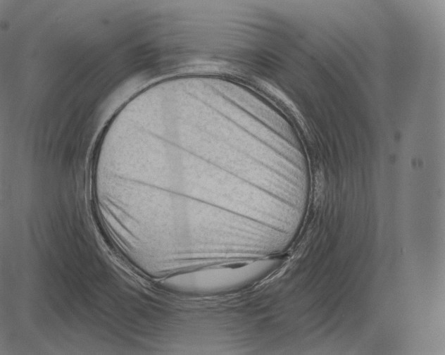 X0000083611467200703121550