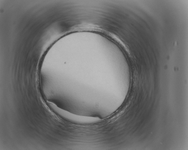 X0000083611469200703121550