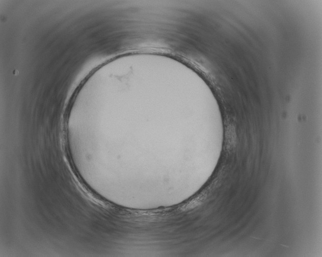 X0000083611470200703121550