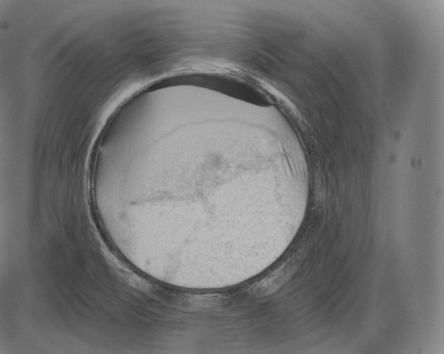 X0000083611471200703121550