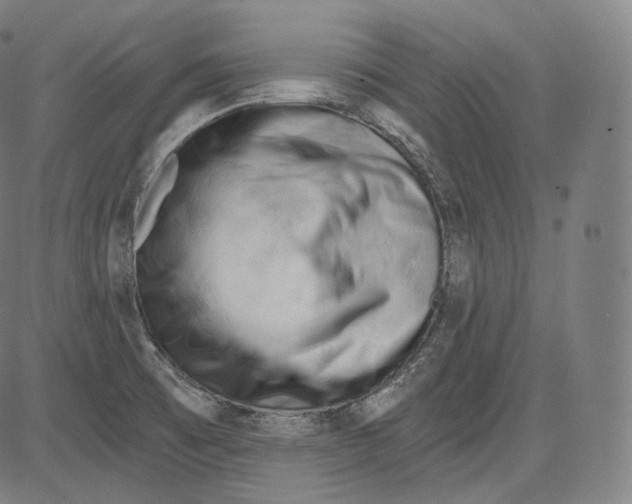 X0000083611473200703121550