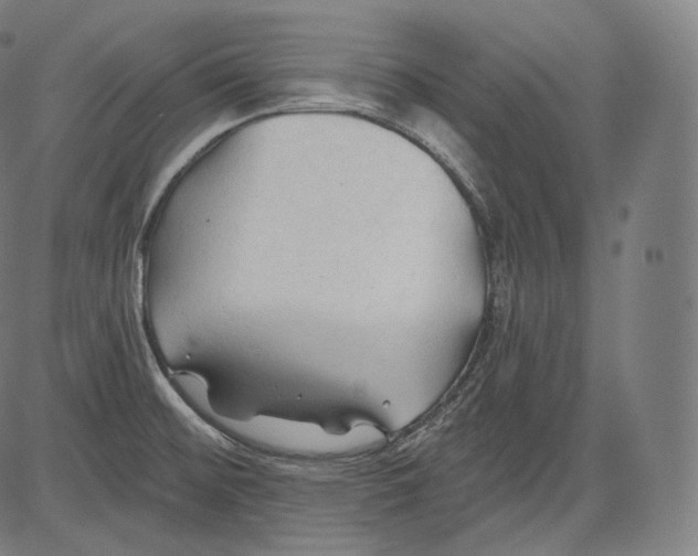 X0000083611476200703121550