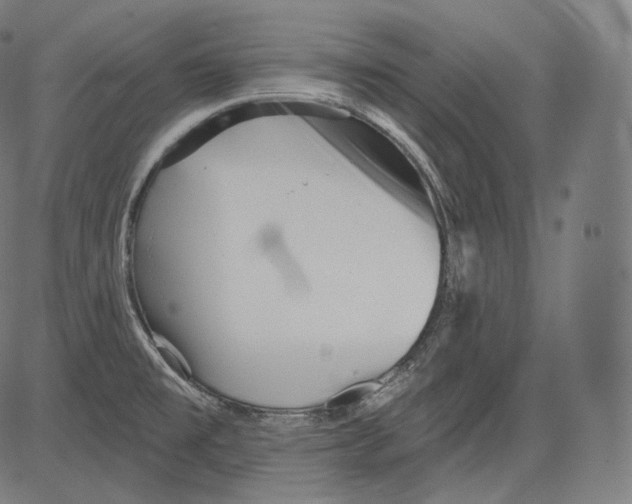 X0000083611477200703121550