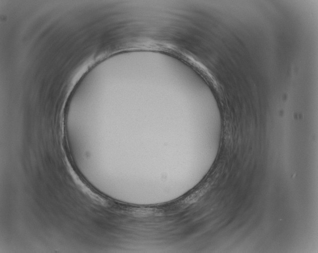 X0000083611479200703121550